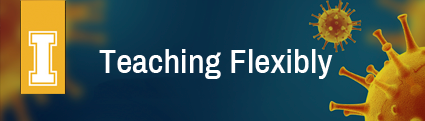 Teaching Flexibly