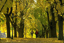 Central university walkway in autumn