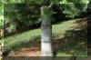 Pinus flexilis bark.jpg (271784 bytes)