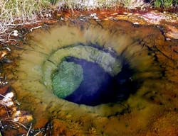 Colorful algae and bacteria colonize a geothermal vent