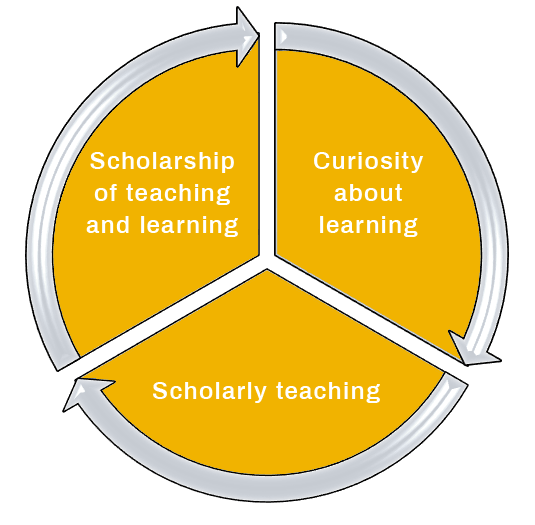 SoTL; Curiosity about learning; Scholarly teaching