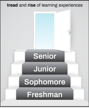 The tread and Rise of learning experiences: freshman, sophomore, junior, senior