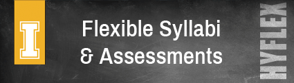 Flexible Syllabi and Assessments