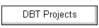 DBT Projects