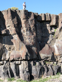 Basalts of Idaho are potential geologic carbon sequestration host rocks
