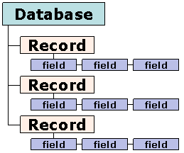 Database - Record - Field