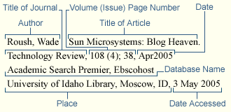 Example Online Article Citation