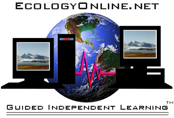 EcologyOnline.net - Guided Independent Learning in Ecology